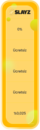 Slayz Fiyatlandırma