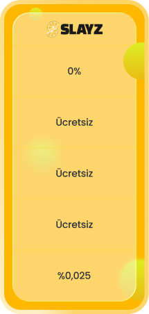 Slayz Fiyatlandırma