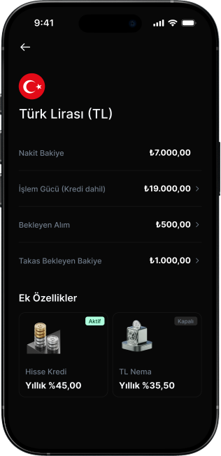 TL Nemalandırma Nedir